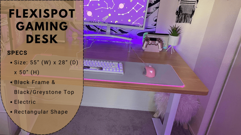 FLEXISPOT Gaming Desk