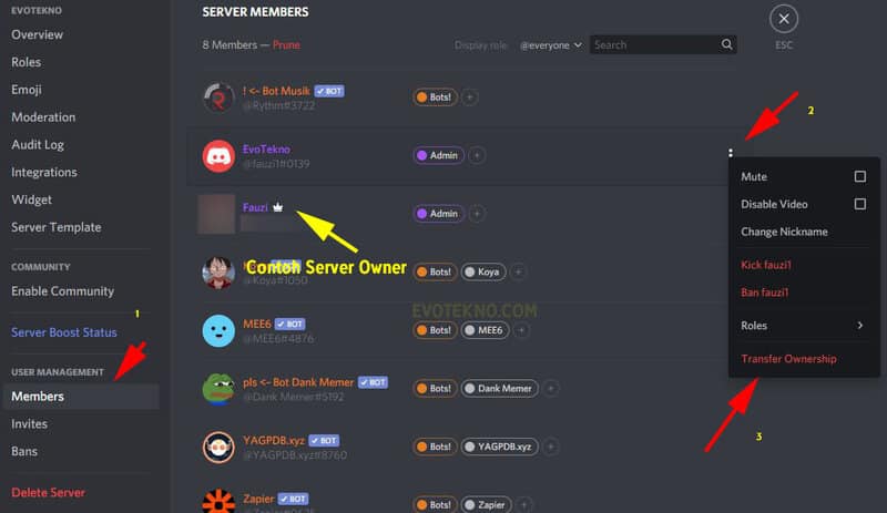 transfer discord server