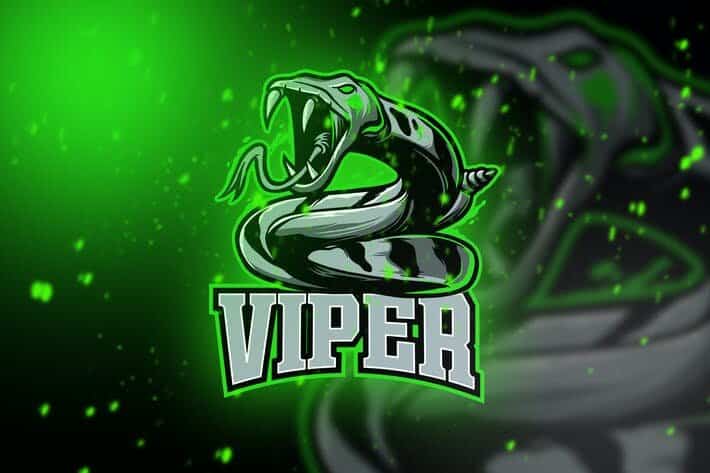 Viper Gaming