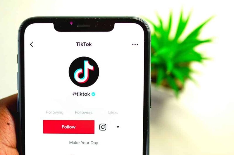 TikTok Verification