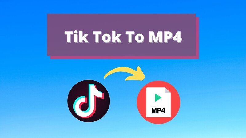 Download Videos From TikTok to MP4 Format