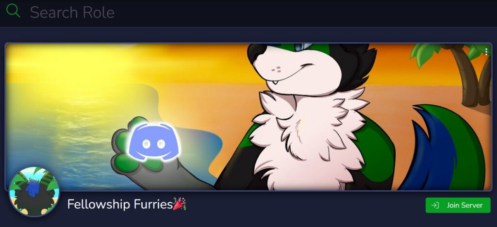 fellowship furries discord server