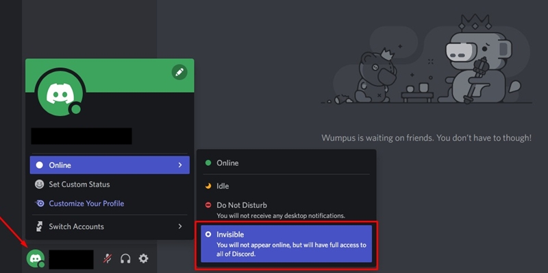 what does invisible mean on discord