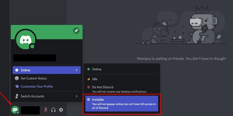 what-does-invisible-mean-on-discord-and-what-happens-when-set-it-as