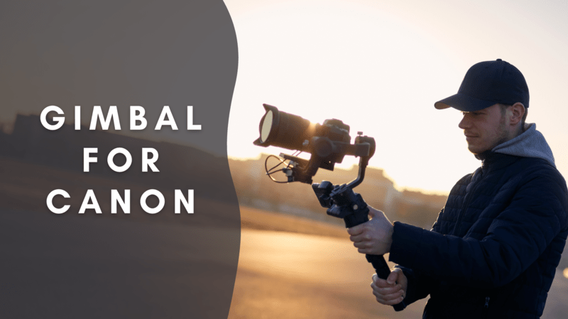 Best Gimbal for Canon