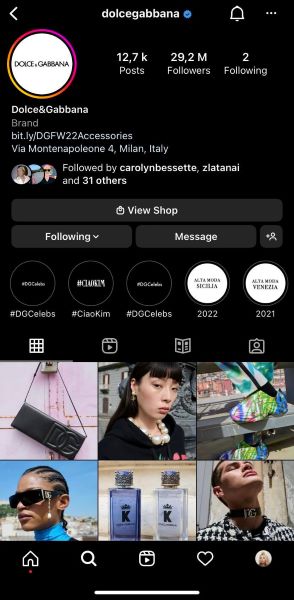 Example of an Instagram profile