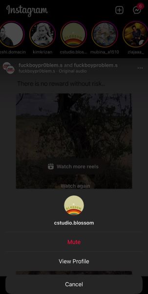 Mute button on Instagram