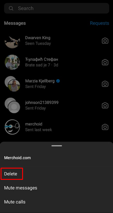 Instagram App Delete Conversation