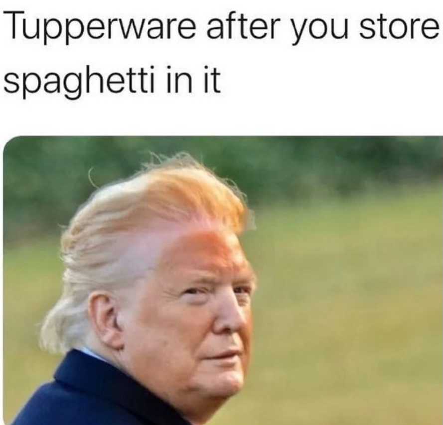 trump meme