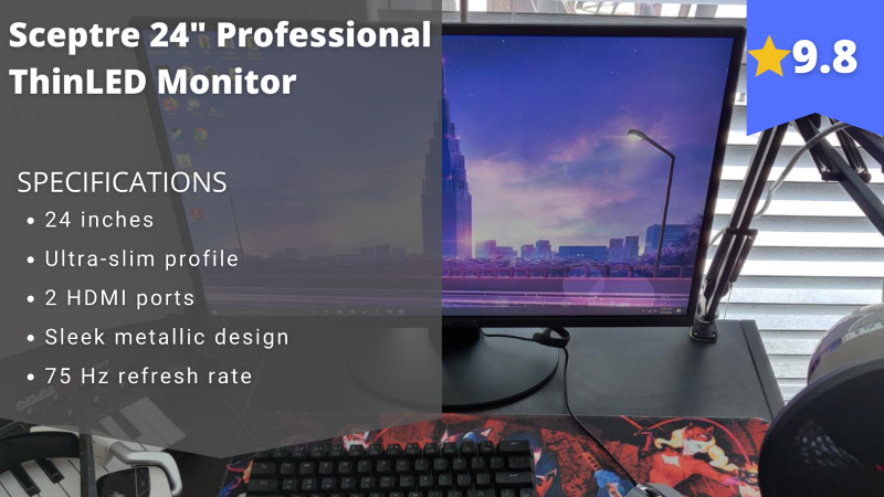 Sceptre 24″ Professional ThinLED Monitor