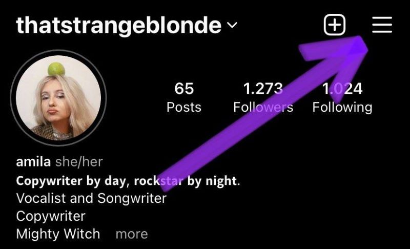 Hamburger icon on your Instagram page