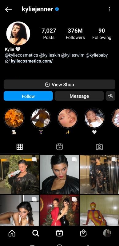 Kylie Jenner Instagram profile