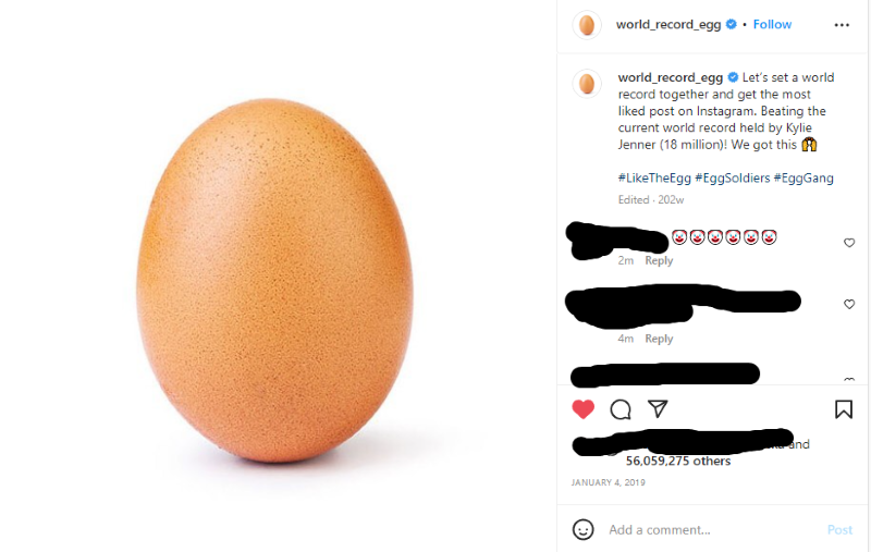 world record egg