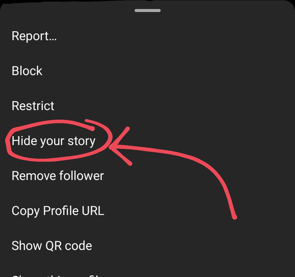 hide your instagram story