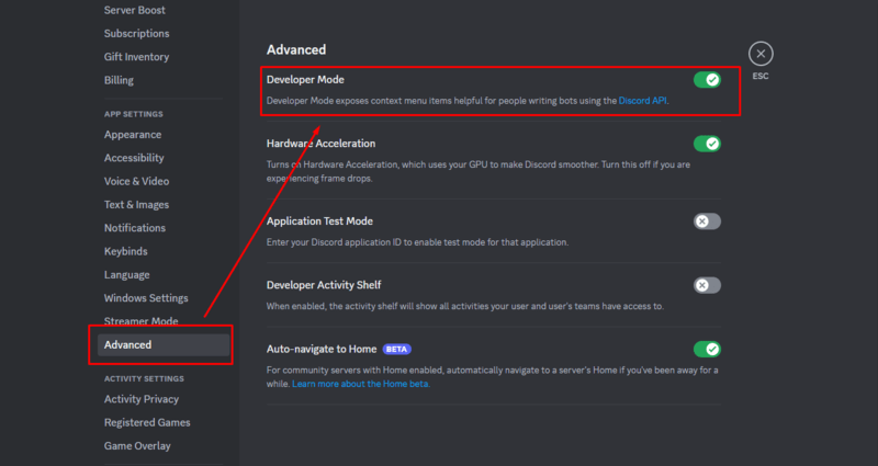 enable developer mode discord